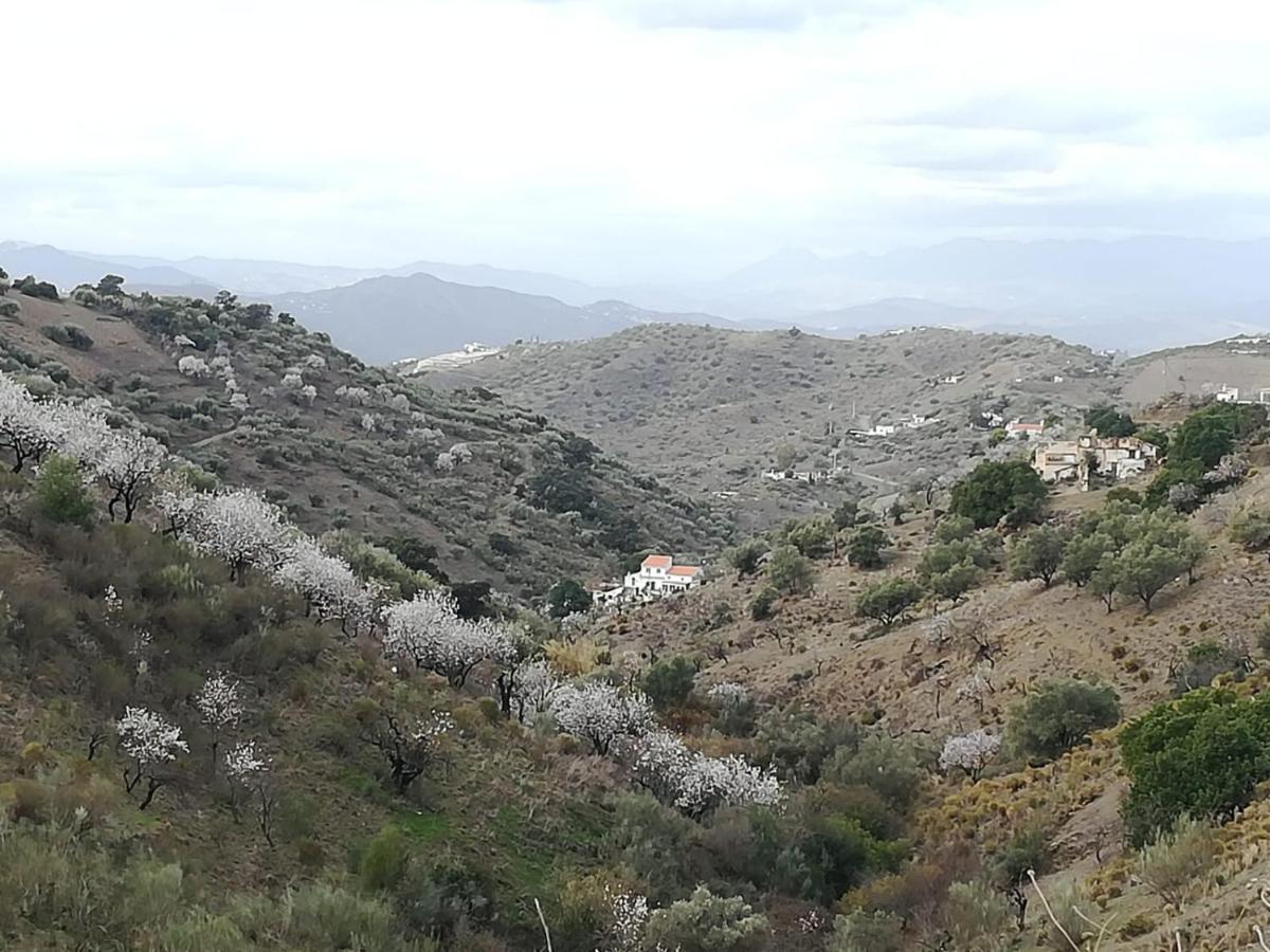 Casa Aguila 2.0 Bed & Breakfast Los Valverde Bagian luar foto
